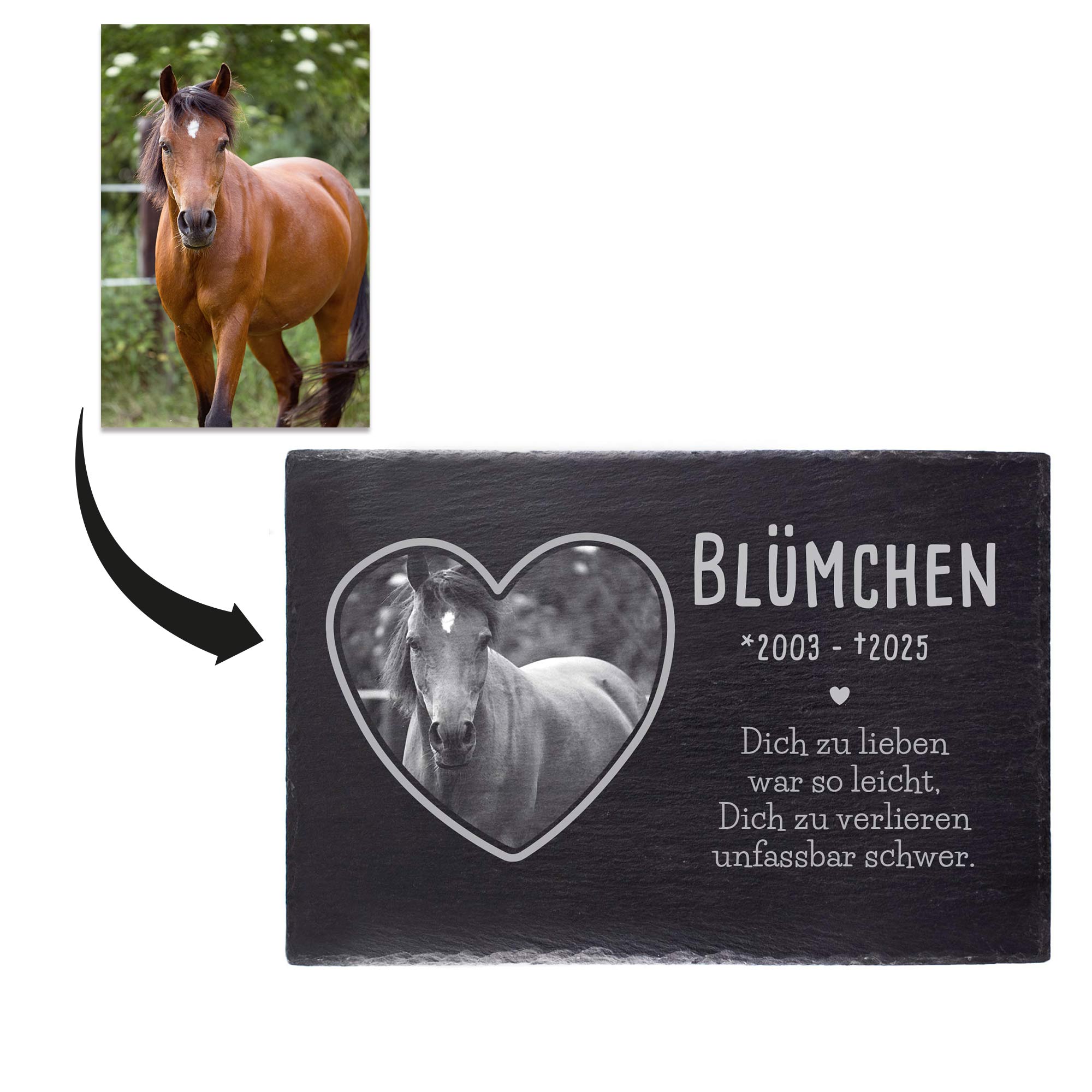 Grabplatte zur Trauer Haustier - Schiefer Gedenktafel mit Foto