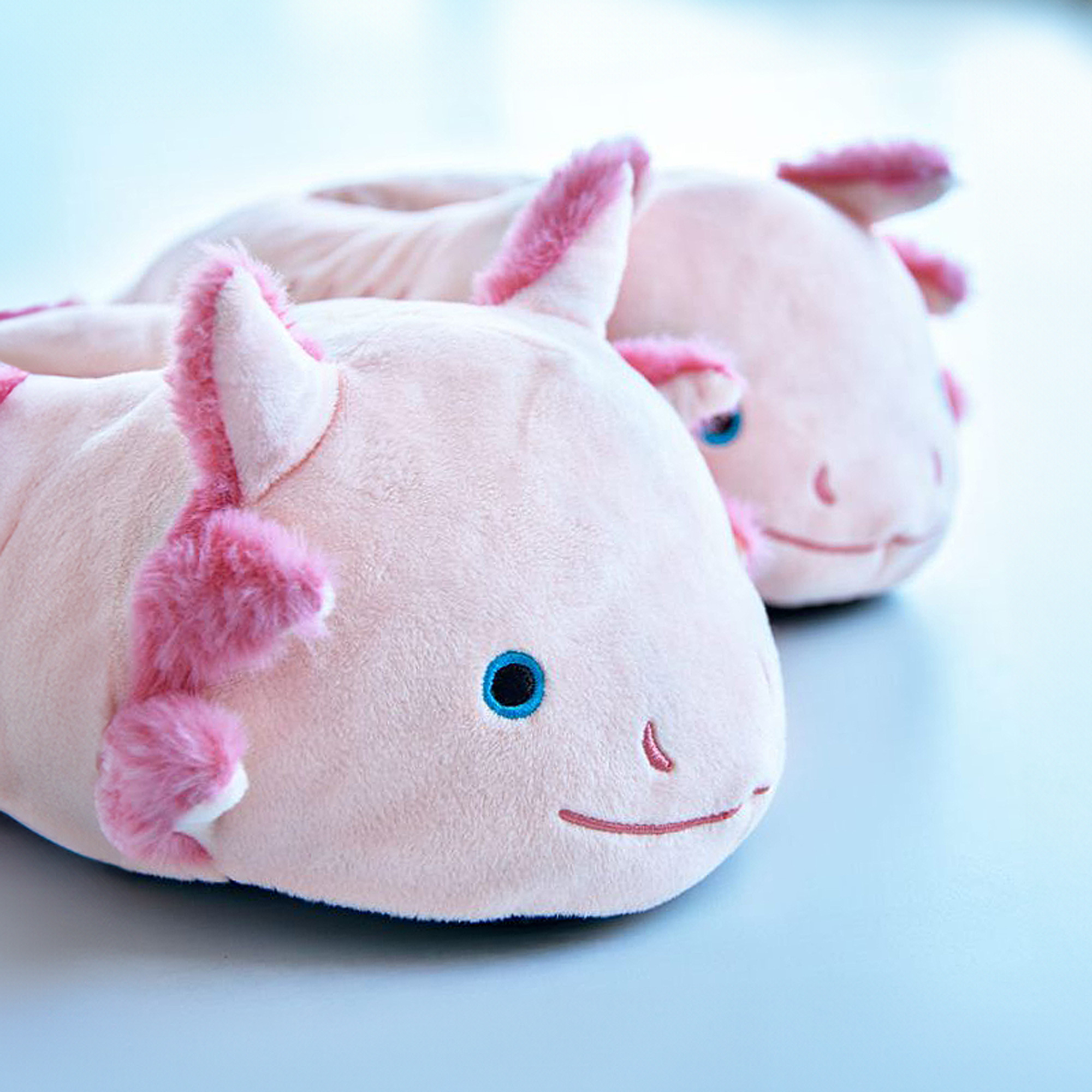 Axolotl Hausschuhe