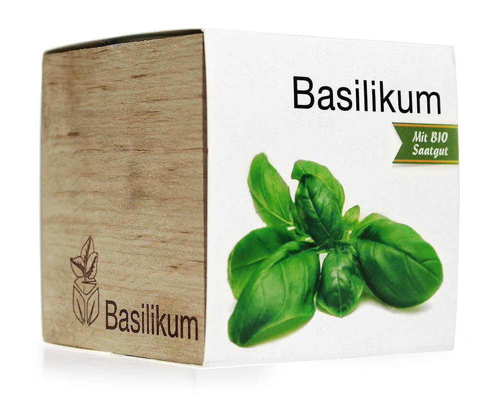 Ecocube Basilikum 2437 - 5
