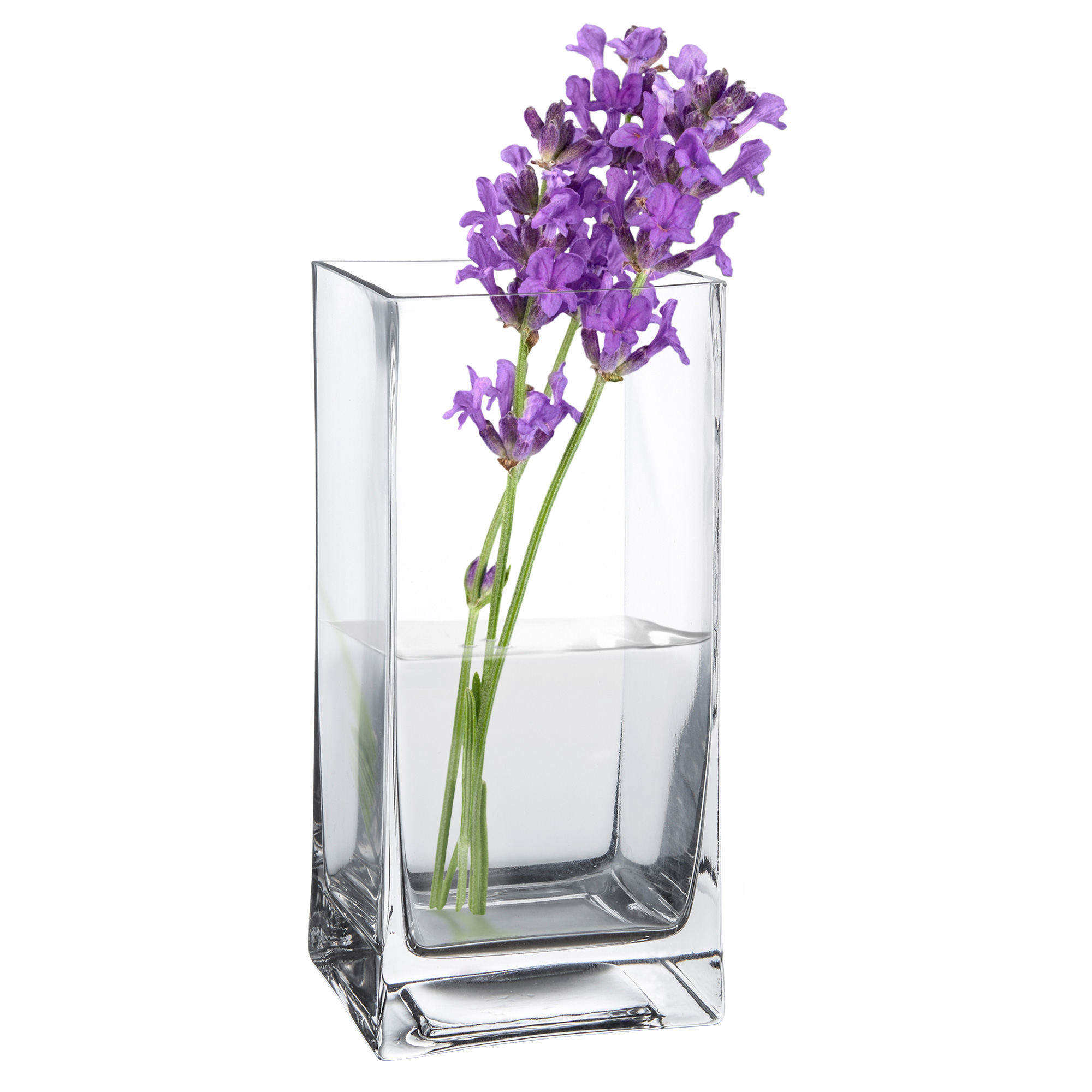 Eckige Vase - Glas Blumenvase 0006-0019-EU-0000 - 5
