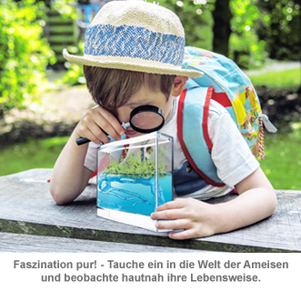 Gel Ökosystem - Ameisenfarm