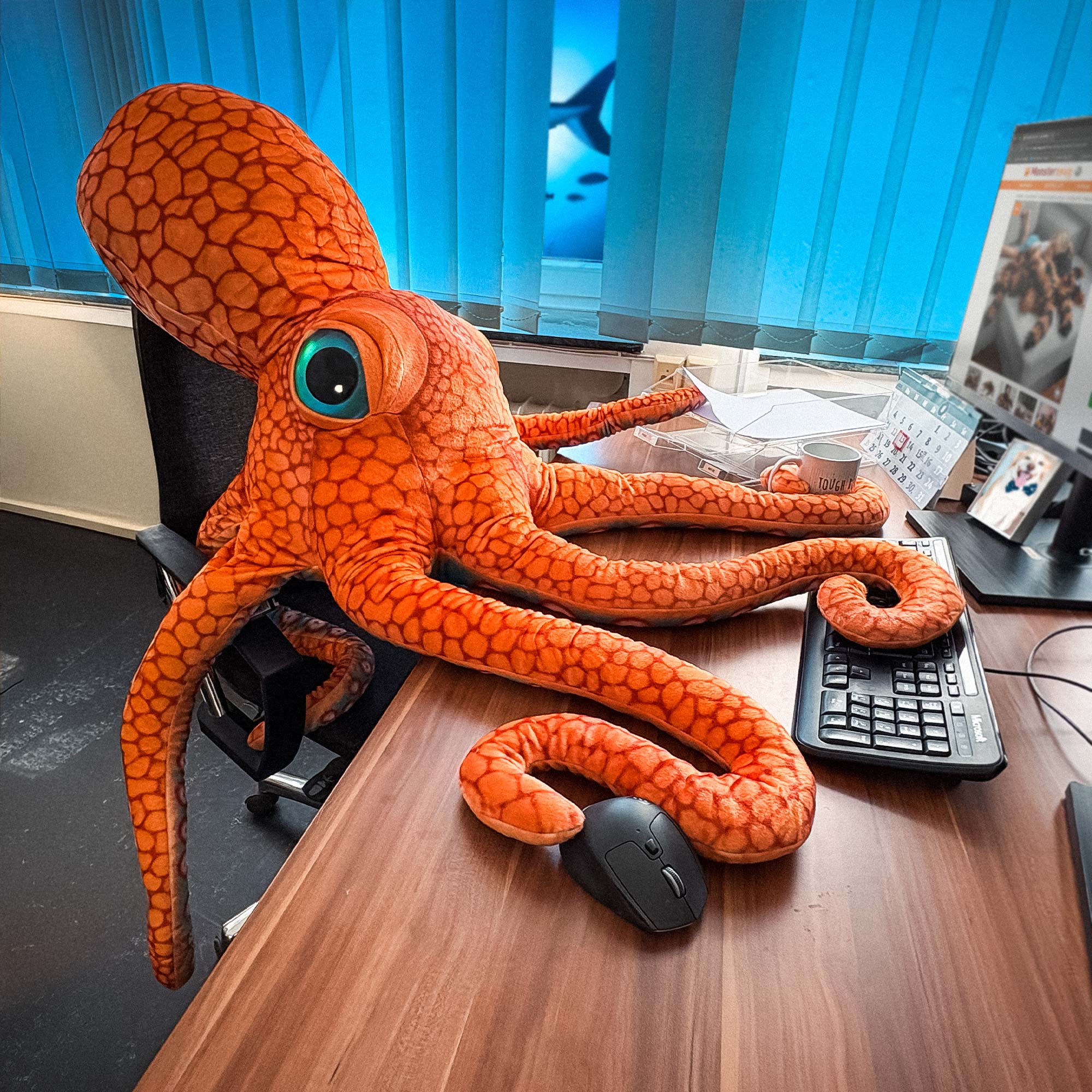 Riesen Oktopus - Kuscheltier & Kissen