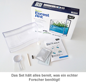 Gel Ökosystem - Ameisenfarm