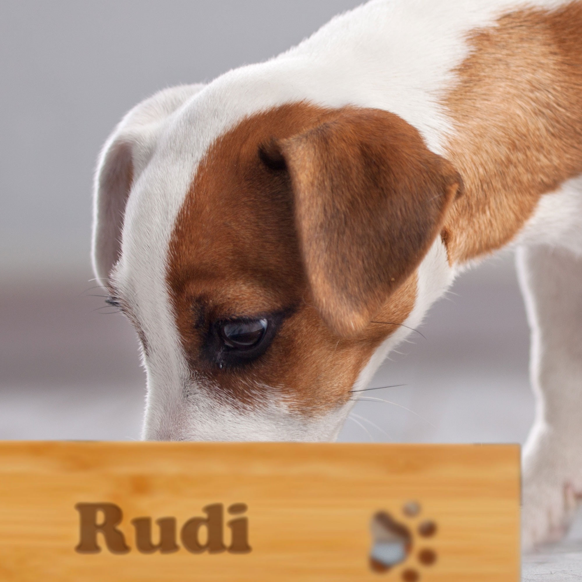 Futternapf für Hunde - Personalisiert