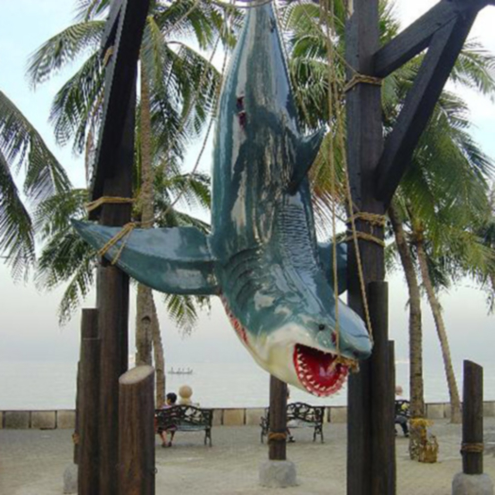 Weißer Hai Angler Trophäe - lebensgroß 1567 - 7