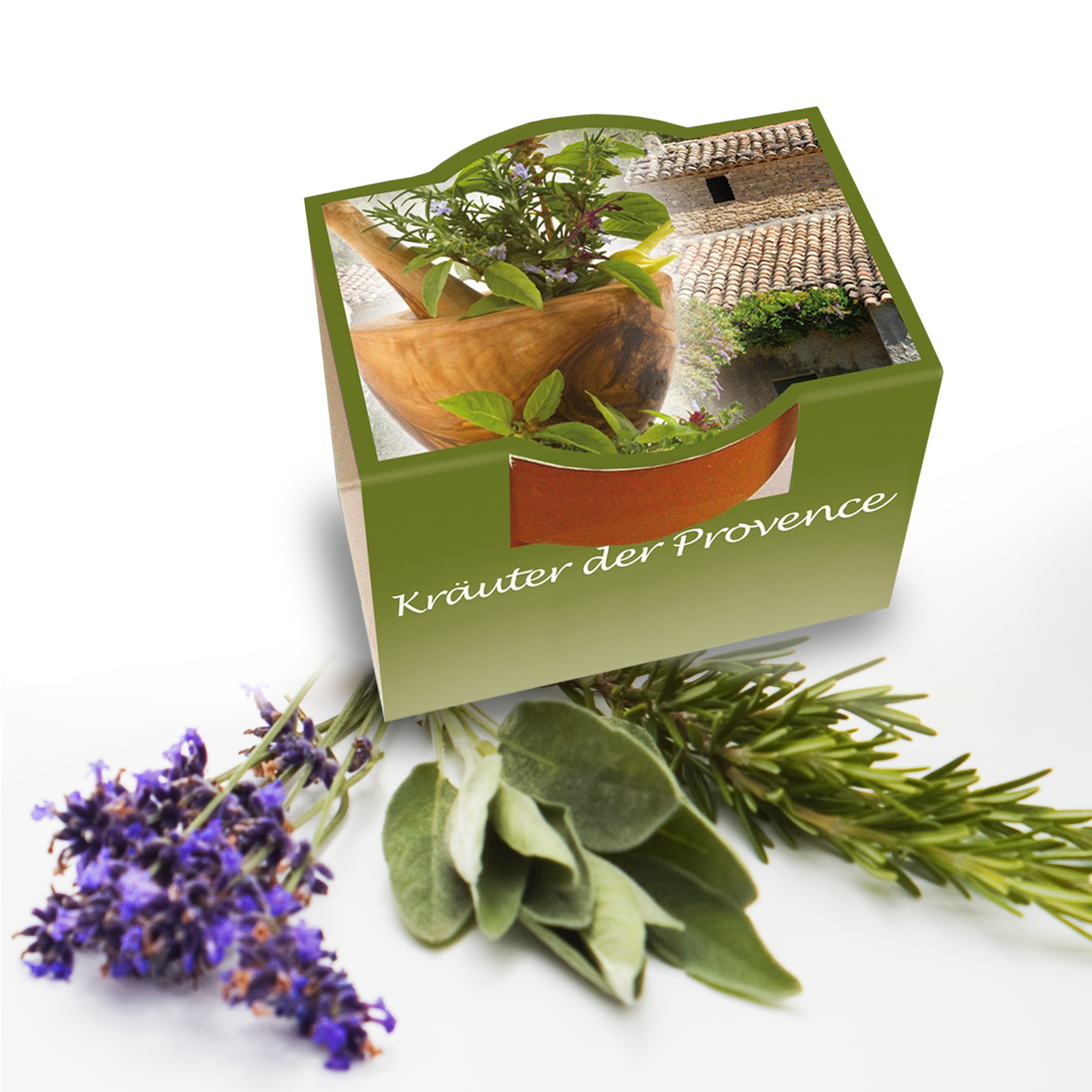 10er Blumenset zum Selberpflanzen - Kräuter der Provence 3790 - 3