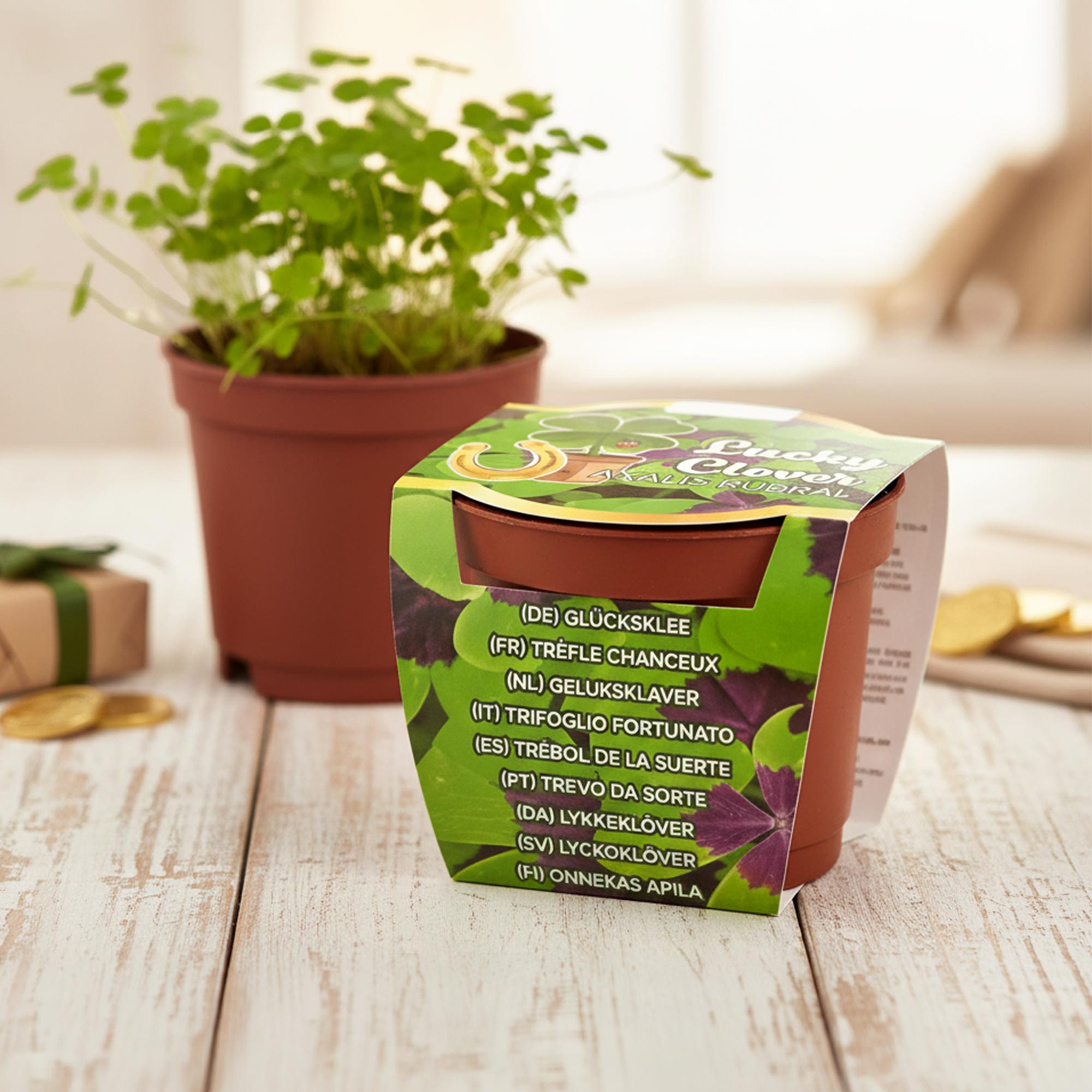 Glücksklee im Minitopf - Pflanzset vierblättriger Klee für Gravur Geschenke Glücksklee im Minitopf - Pflanzset vierblättriger Klee für Gravur Geschenke