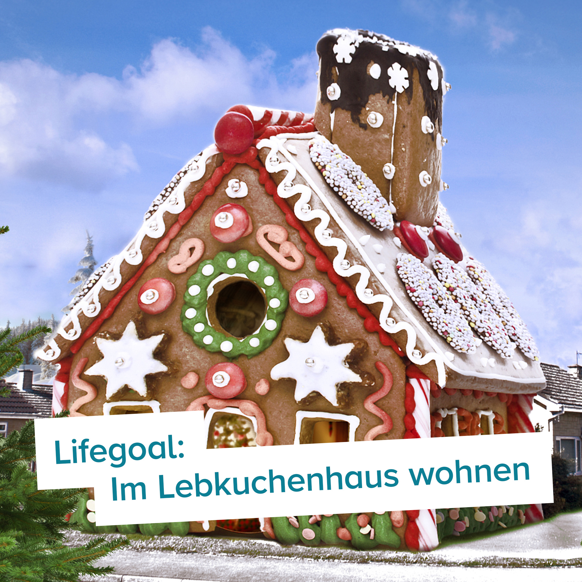 Riesen Lebkuchenhaus - Eigenheim zum Selberbacken 2812 - 1