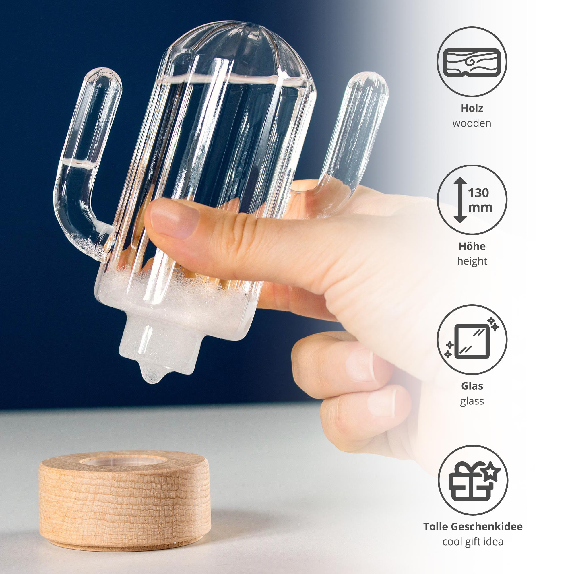 Sturmglas zur Wettervorhersage - Kaktus