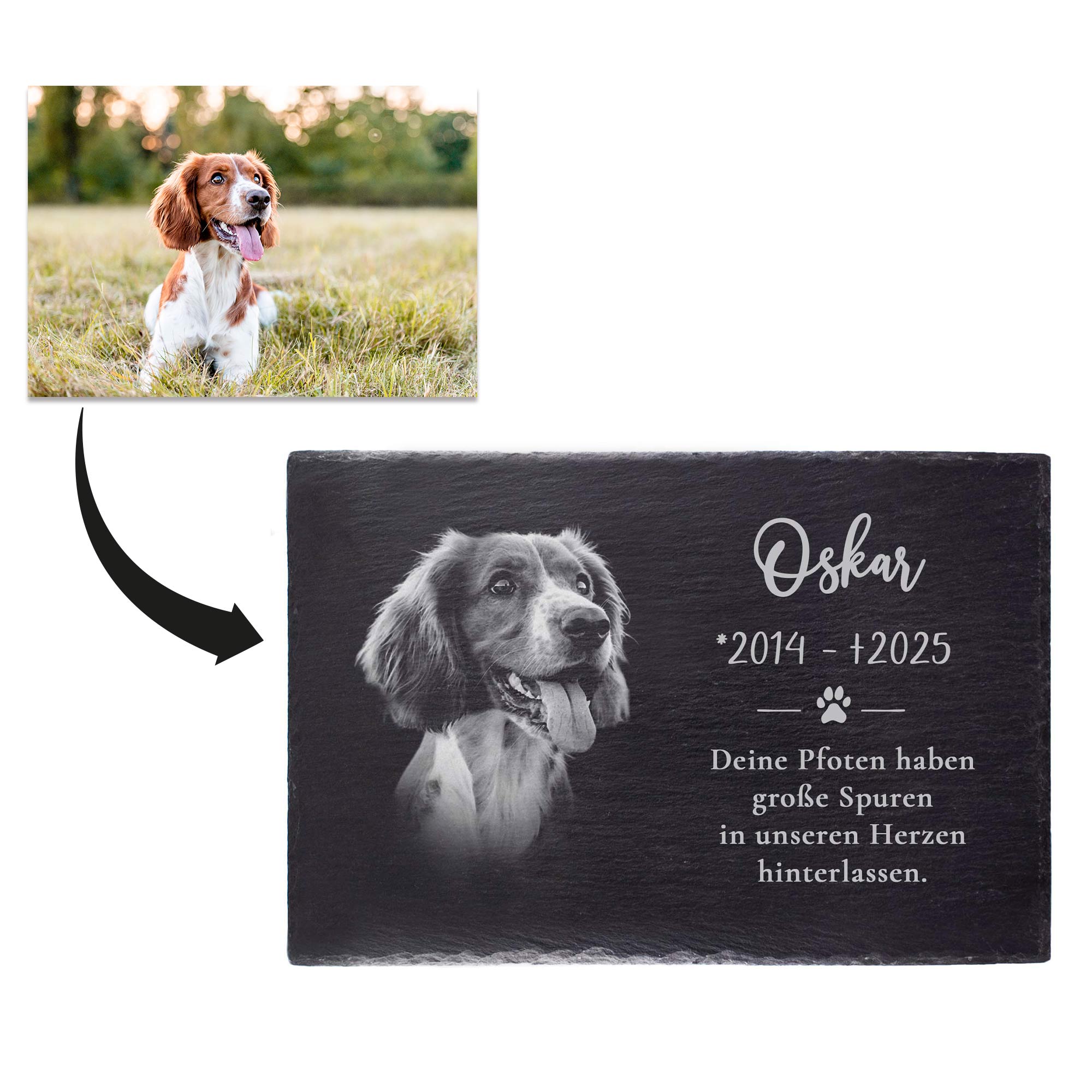 Grabplatte zur Trauer Hund & Katze - Schiefer Gedenktafel mit Foto
