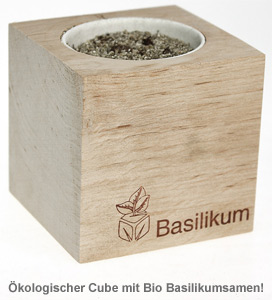 Ecocube Basilikum 2437 - 1