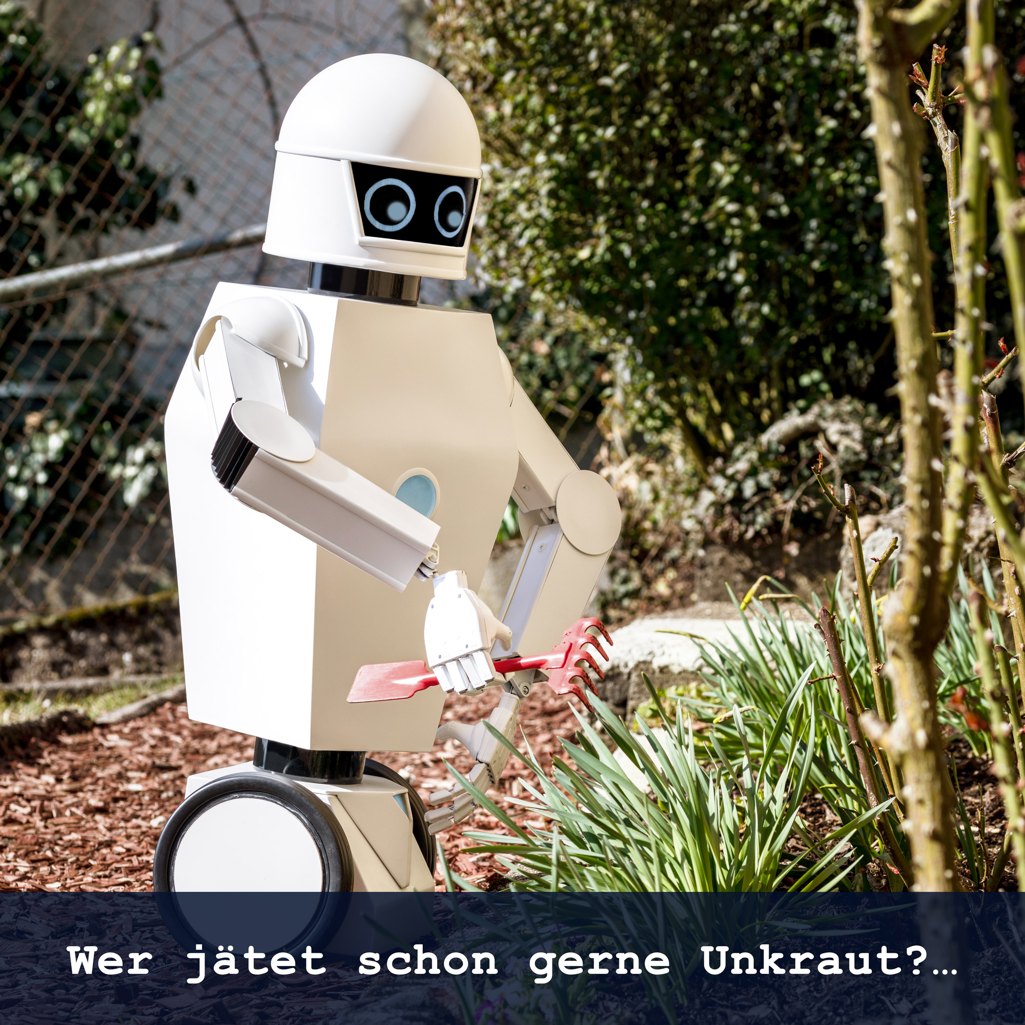 Universal Haushaltsroboter mit künstlicher Intelligenz 3781 - 7