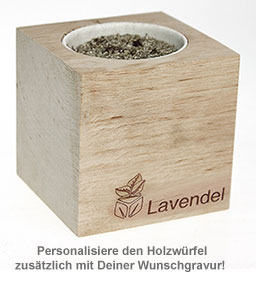 Ecocube Lavendel 2436 - 2