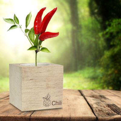 Ecocube Chili