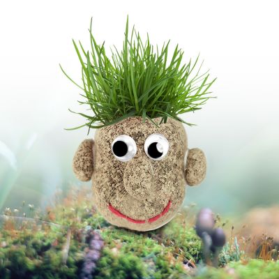 Graskopf Männchen
