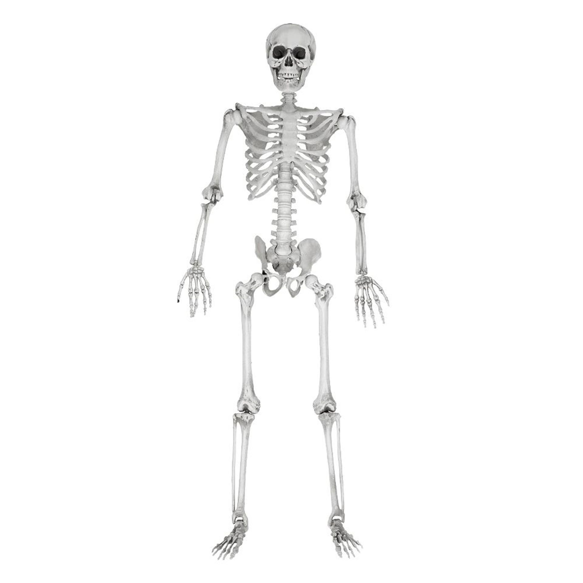 Gruselechte Skelett-Hände Als Wandskulptur Mit Glasvase – Gothic-Deko Für Halloween & Mehr