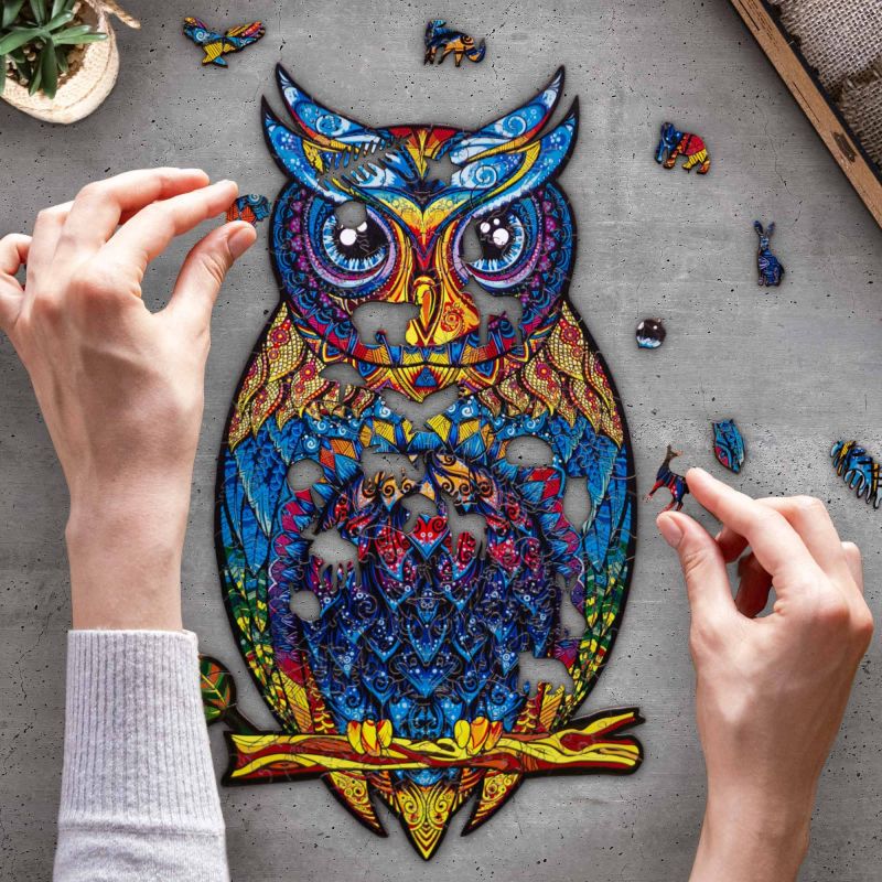 Hansepuzzle 28020 – Eule Puzzle 1000 Teile – Tierwelt-Motiv, Hochwertige Aufbewahrung Mit Box & Wiederverschließbarem Beutel, Format 60 X 46 Cm